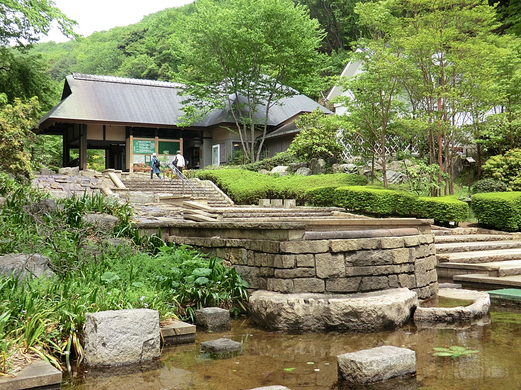 七沢森林公園の写真