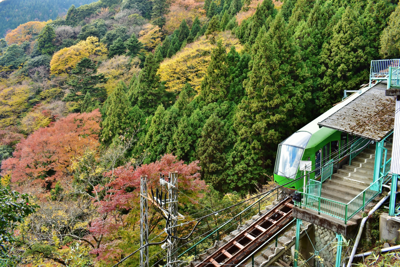 大山ケーブルカーの写真