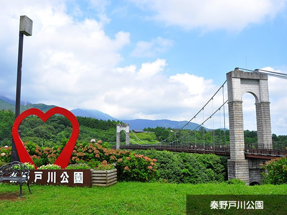 神奈川県泰野市