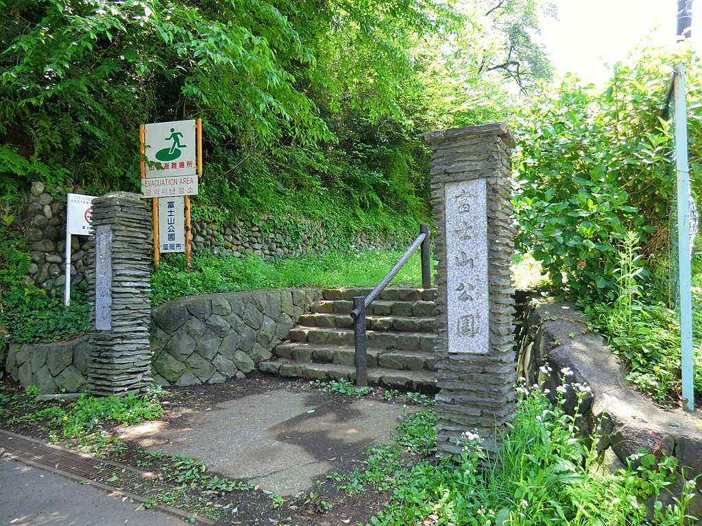 富士山公園の写真